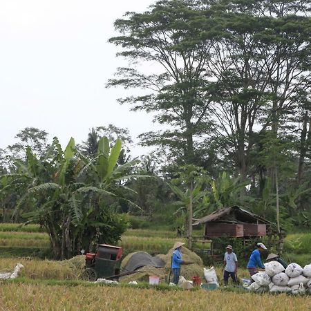 Pondok Gepokan Homestay Ubud Exteriér fotografie