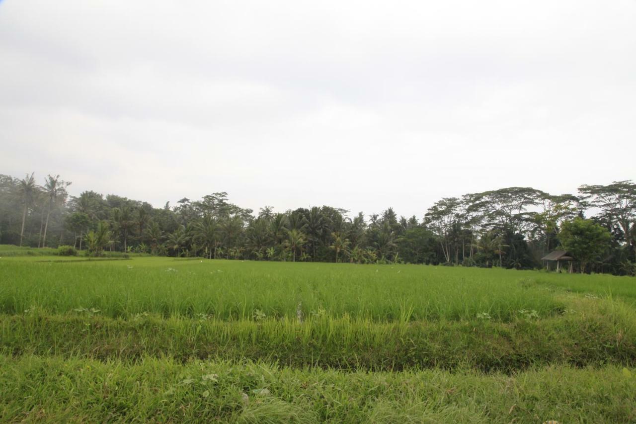 Pondok Gepokan Homestay Ubud Exteriér fotografie