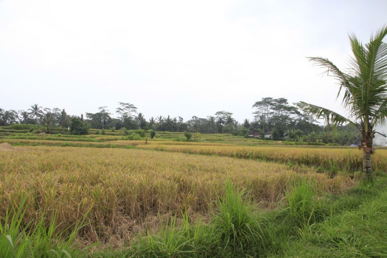Pondok Gepokan Homestay Ubud Exteriér fotografie
