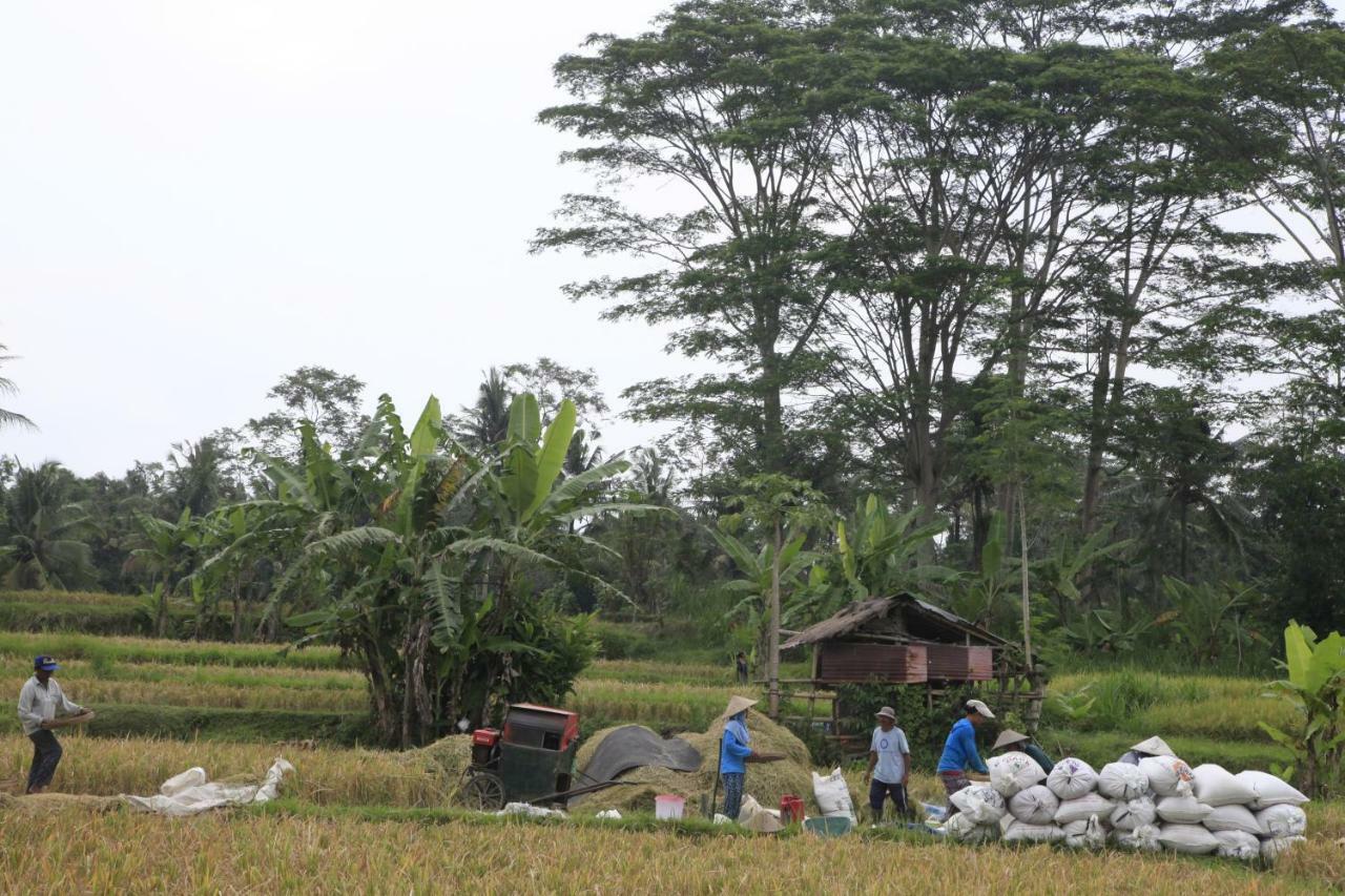 Pondok Gepokan Homestay Ubud Exteriér fotografie