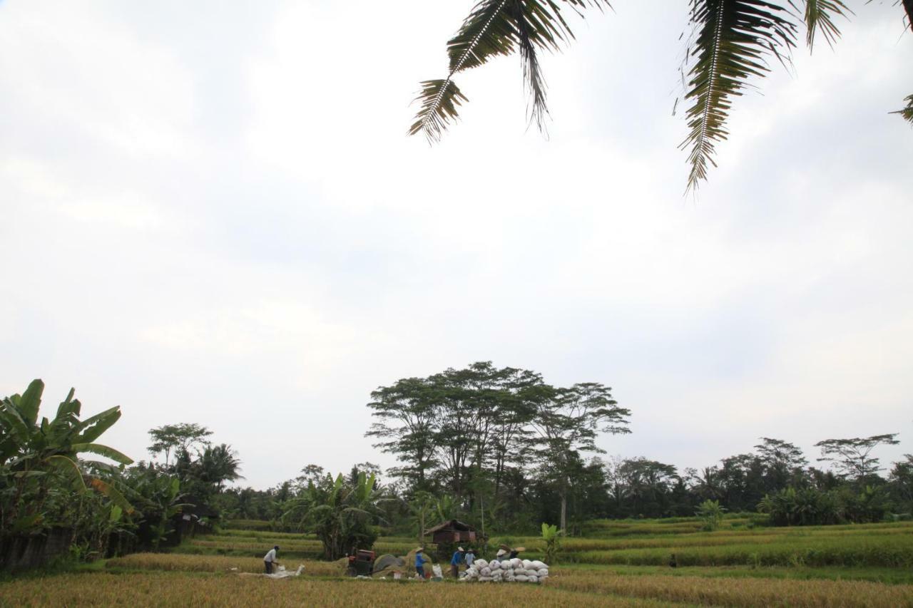 Pondok Gepokan Homestay Ubud Exteriér fotografie